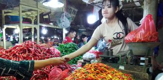Kenaikan Harga Cabai Rawit Ancam Daya Beli Masyarakat, Pemerintah Pusat Desak Daerah Segera Bertindak