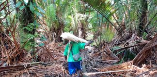 Melipat Waktu Perburuan Sagu ala Pertamina Kilang RU VII