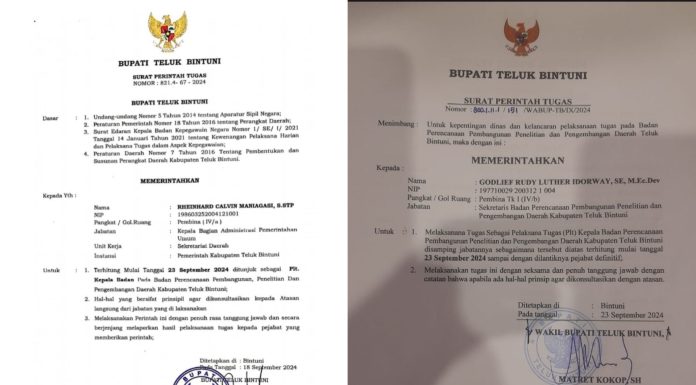 Jabatan Plt Kepala Bappelitbangda Teluk Bintuni Terjadi Dualisme, Kok Bisa?