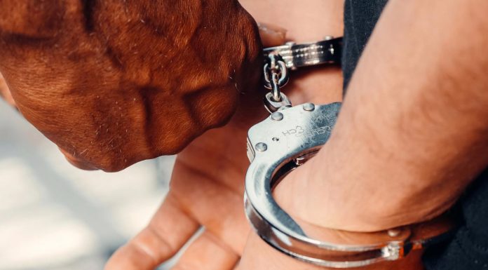 Terlibat Korupsi, Mantan Plt Kepala BKPP Teluk Bintuni Dijatuhi Pidana Penjara 4 Tahun