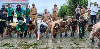 Wabup JL Canangkan Program Ketahanan Pangan, Produksi Padi Teluk Bintuni Terhambat Saluran Irigasi