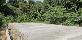 Proyek Pengecoran Jalan di Dalam Hutan Manimeri, Siapa Yang Punya?