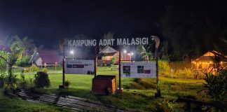 Menangguk Cuan dari Hutan