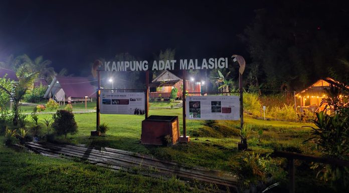 Menangguk Cuan dari Hutan