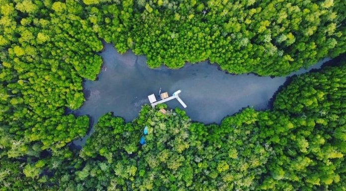 Ekowisata Saupon; Jalan Pertobatan Pemburu di Kampung Waifoi