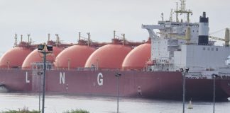 Kepemilikan Saham Padoma Ubadari Energy Disorot, Theresia: Itu Haknya Teluk Bintuni