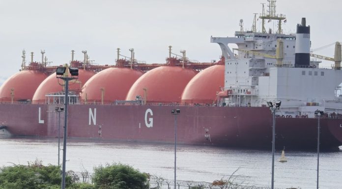 Kepemilikan Saham Padoma Ubadari Energy Disorot, Theresia: Itu Haknya Teluk Bintuni