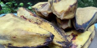 Cegah Diabetes hingga Jantung, Inilah Sederet Manfaat Pisang Kepok Rebus bagi Tubuh