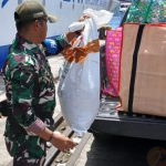 Gagalkan Penyelundupan 114 Satwa Endemik Papua di KM Sinabung, PELNI: Awalnya dari Bau Tak Sedap