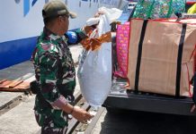 Gagalkan Penyelundupan 114 Satwa Endemik Papua di KM Sinabung, PELNI: Awalnya dari Bau Tak Sedap