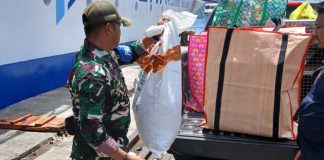 Gagalkan Penyelundupan 114 Satwa Endemik Papua di KM Sinabung, PELNI: Awalnya dari Bau Tak Sedap