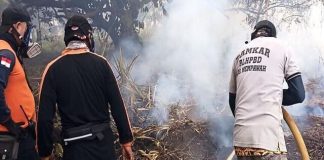 Karhutla Landa 13 Wilayah di Kalbar, 235 Ribu Hektare Berhasil Dipadamkan – BNPB Kerahkan Water Bombing