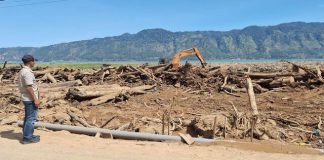 Strategi Bertahan Warga Toweren Pasca Bencana: Ratusan Kayu Gelondongan Disulap Jadi Rumah dan Kayu Bakar