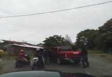 Dua Hari Terpantau di Terminal, Satgas Cartenz Bekuk Terduga KKB Kopitua Heluka