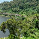 Perkuat SDM Kehutanan, DPR Dorong Hilirisasi Riset ke Petani Hutan