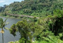 Perkuat SDM Kehutanan, DPR Dorong Hilirisasi Riset ke Petani Hutan