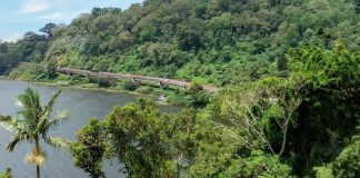 Perkuat SDM Kehutanan, DPR Dorong Hilirisasi Riset ke Petani Hutan