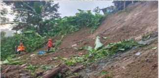 Diterjang Longsor, Warga Blitar Meninggal di Bawah Timbunan Tanah