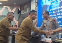 Bertemu Komite II DPD RI, Bupati Teluk Bintuni Adukan Persoalan Listrik dan Tenaga Kerja