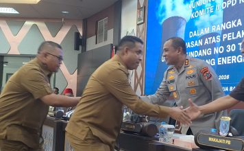 Bertemu Komite II DPD RI, Bupati Teluk Bintuni Adukan Persoalan Listrik dan Tenaga Kerja