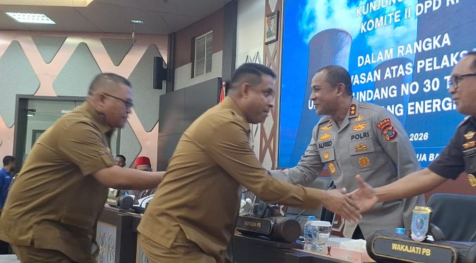 Bertemu Komite II DPD RI, Bupati Teluk Bintuni Adukan Persoalan Listrik dan Tenaga Kerja
