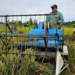 Masuk Program Strategis Nasional, Di Teluk Bintuni akan Dibuka 875,2 Hektare Lahan Sawah Baru