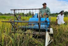 Masuk Program Strategis Nasional, Di Teluk Bintuni akan Dibuka 875,2 Hektare Lahan Sawah Baru