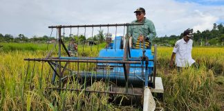 Masuk Program Strategis Nasional, Di Teluk Bintuni akan Dibuka 875,2 Hektare Lahan Sawah Baru