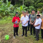 Rayakan Idul Adha 1447 H, Pemda Teluk Bintuni Bagikan 65 Sapi di 16 Distrik
