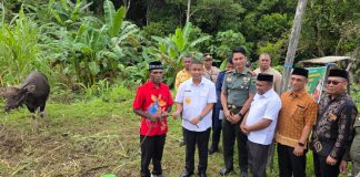 Rayakan Idul Adha 1447 H, Pemda Teluk Bintuni Bagikan 65 Sapi di 16 Distrik