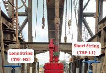 Dukung Target Produksi Pertamina, Elnusa Perkuat Peran Strategis melalui Dual Completion