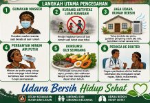 Banyak Kebakaran Hutan dan Lahan di Teluk Bintuni, Kasus Penyakit ISPA Meningkat