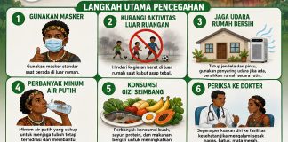 Banyak Kebakaran Hutan dan Lahan di Teluk Bintuni, Kasus Penyakit ISPA Meningkat