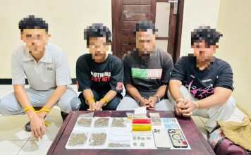 Menjelang Perayaan Kemerdekaan RI, Polisi Bongkar Jaringan Pengedar Ganja di Bintuni