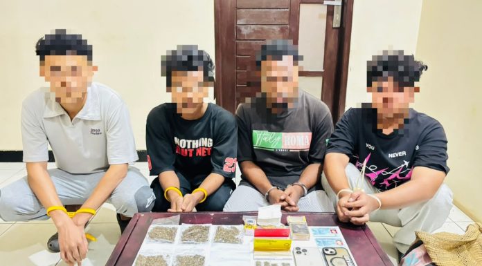 Menjelang Perayaan Kemerdekaan RI, Polisi Bongkar Jaringan Pengedar Ganja di Bintuni