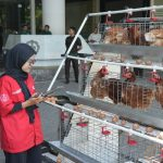 Futechi Farm ITS Transformasikan Sistem Peternakan Modern