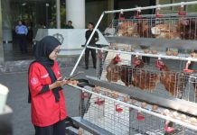 Futechi Farm ITS Transformasikan Sistem Peternakan Modern
