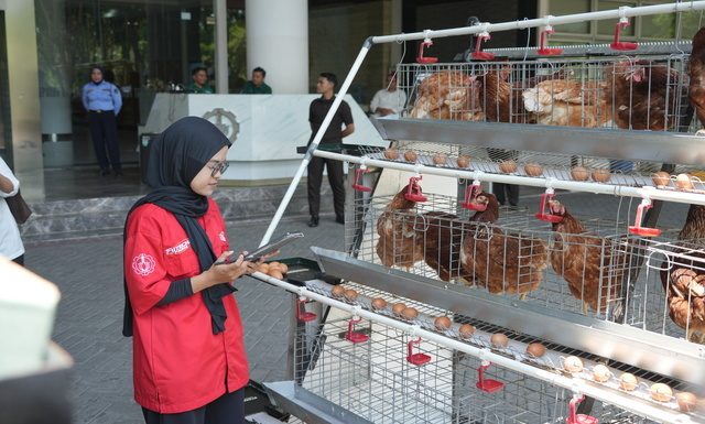 Futechi Farm ITS Transformasikan Sistem Peternakan Modern