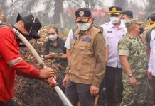 Upaya BNPB dan TNI Tangani Karhutla Kalteng: Tinjau Pulang Pisau hingga Gelar Rakor