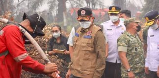 Upaya BNPB dan TNI Tangani Karhutla Kalteng: Tinjau Pulang Pisau hingga Gelar Rakor