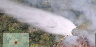 Langit Papua Selatan Disemai Garam: 10 Ribu Kg NaCl untuk Padamkan Karhutla