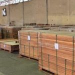 Bukti Transformasi Industri Kehutanan, Perhutani Ekspor Enam Kontainer Kayu Mahoni ke Korsel