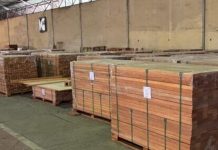 Bukti Transformasi Industri Kehutanan, Perhutani Ekspor Enam Kontainer Kayu Mahoni ke Korsel