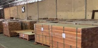 Bukti Transformasi Industri Kehutanan, Perhutani Ekspor Enam Kontainer Kayu Mahoni ke Korsel