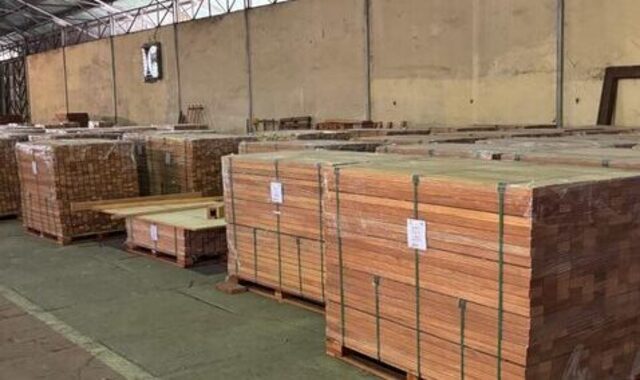 Bukti Transformasi Industri Kehutanan, Perhutani Ekspor Enam Kontainer Kayu Mahoni ke Korsel